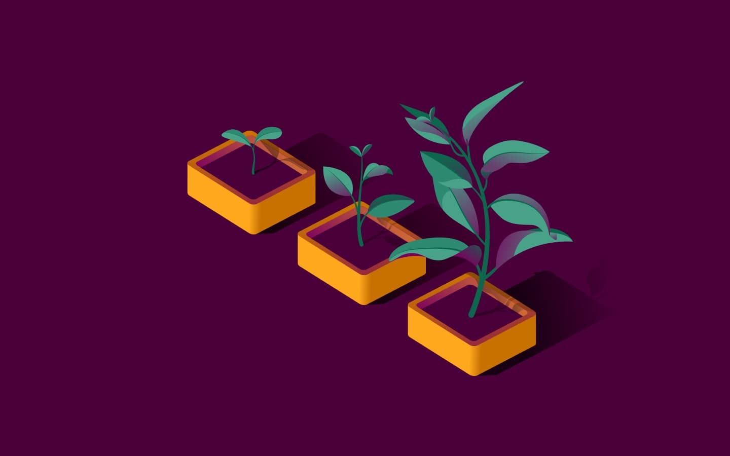Three planters with plants in increasing stages of growth